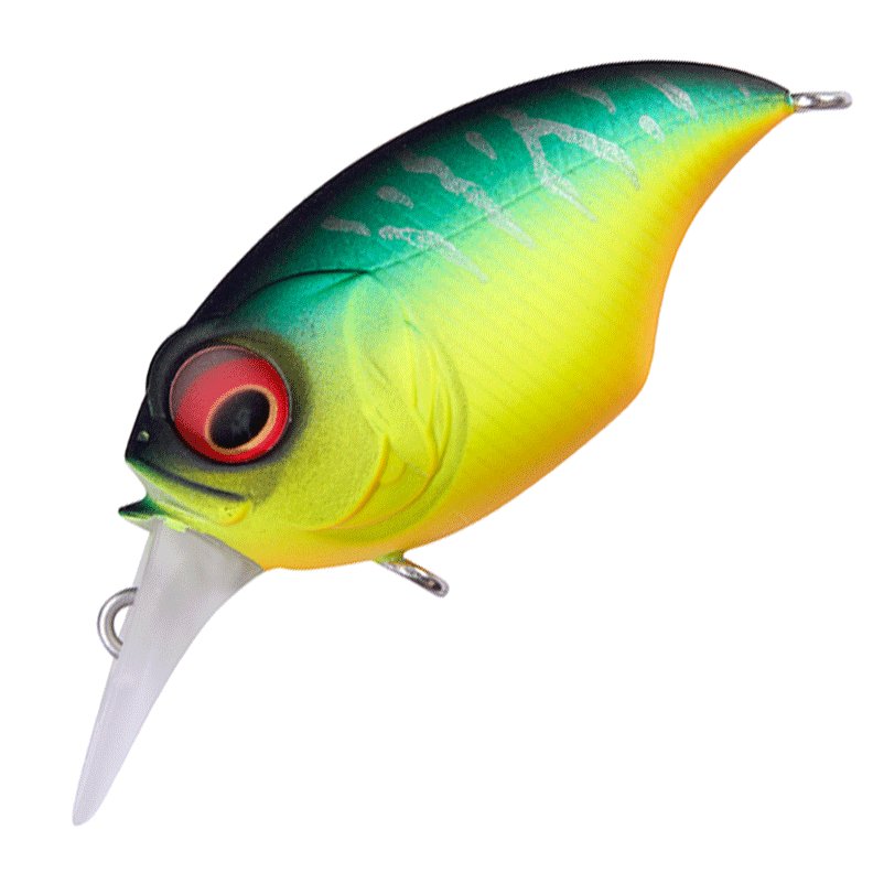 Megabass SR - X Griffon - Hamilton Bait and Tackle