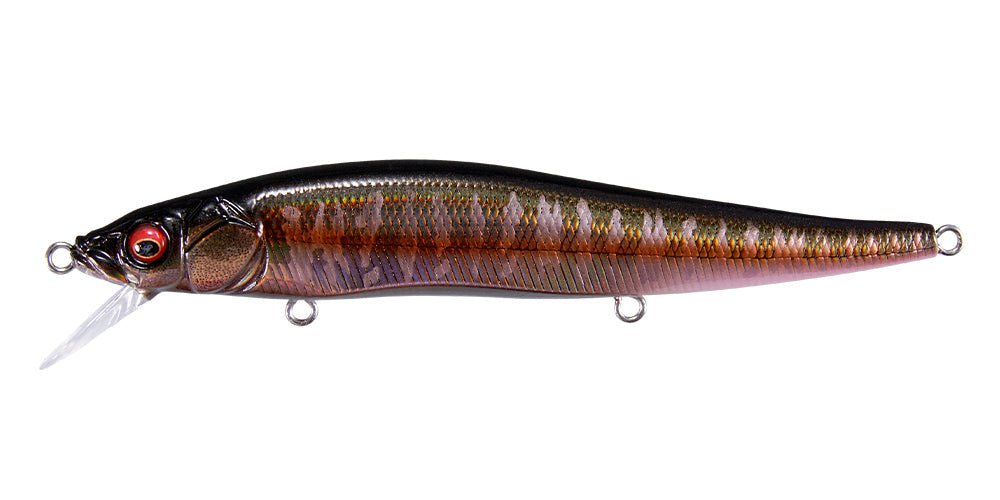 Megabass Vision OneTen Great Hunting Edition - Hamilton Bait and Tackle