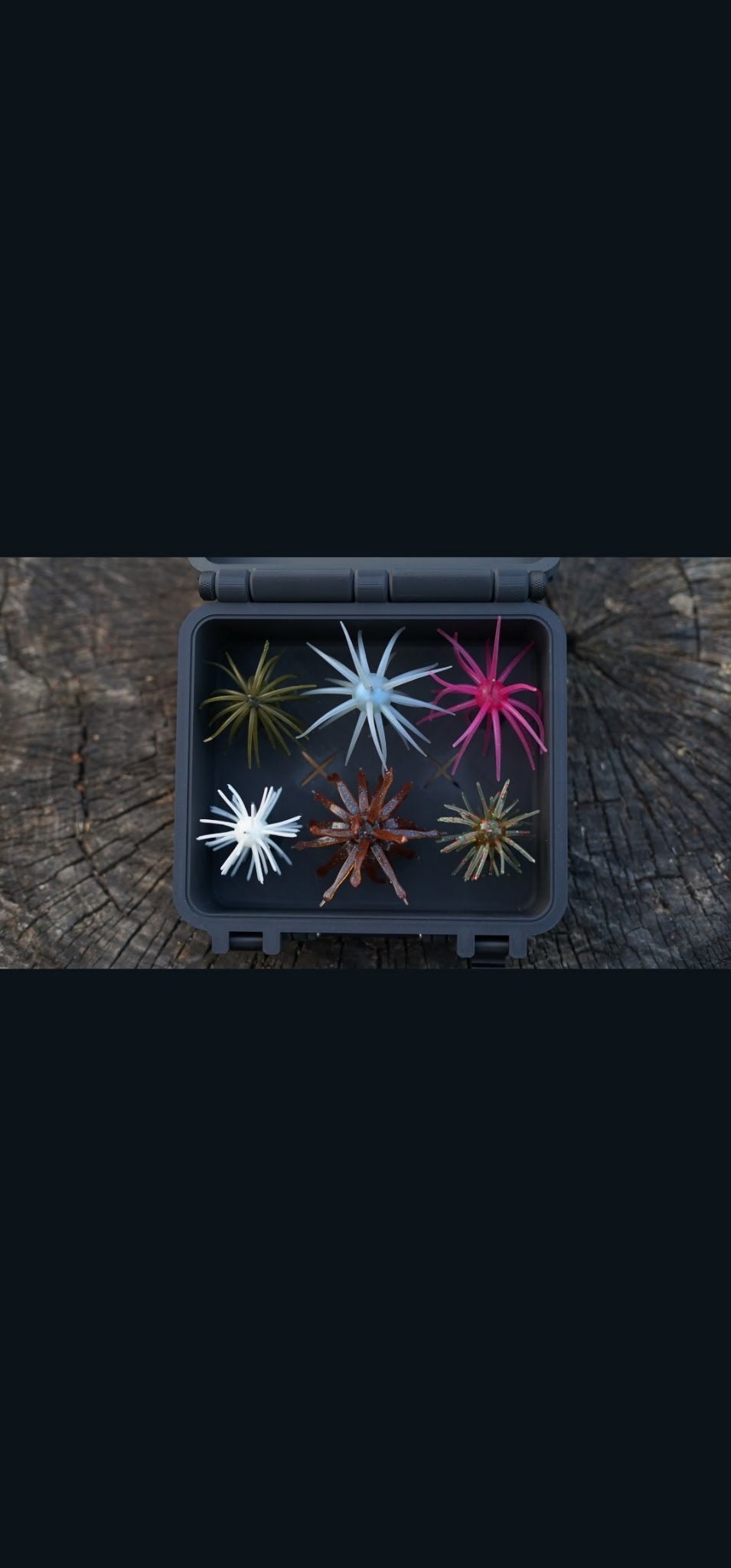 Money Box Urchin Style Bait Storage - Hamilton Bait and Tackle