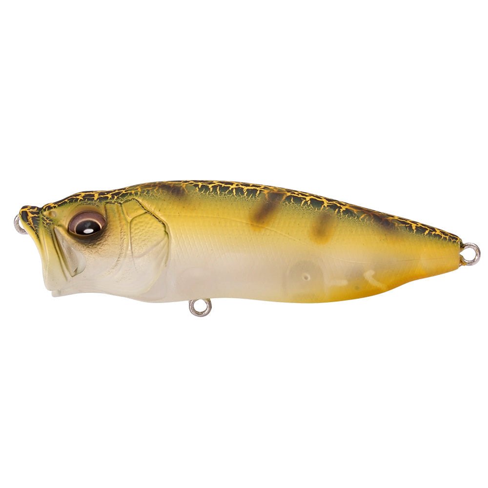 Pop Max Limited Color - Hamilton Bait and Tackle