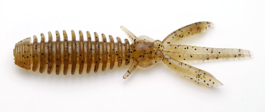 Raid Japan Egu Bug - Hamilton Bait and Tackle